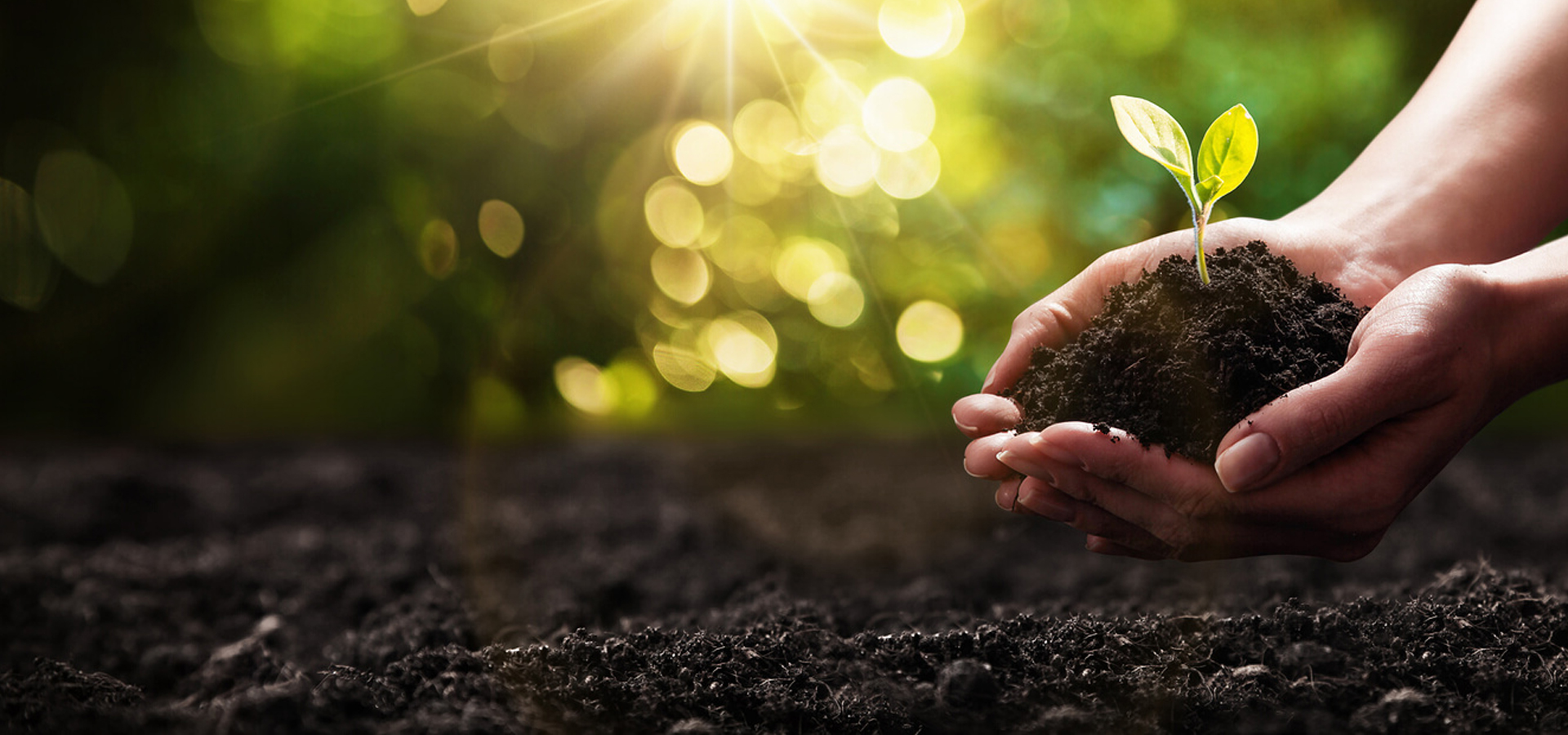 Shri Ram Agro Premium Bio-Tech Plantations